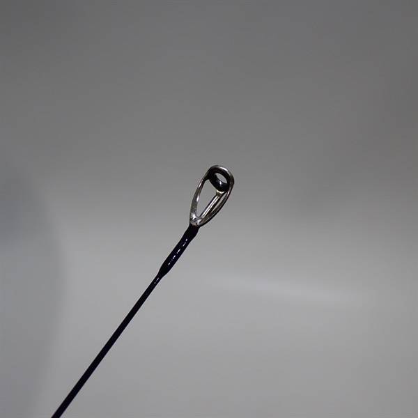 ２０月下美人６１０Ｌ－Ｓ